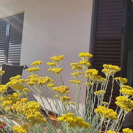 Captain Miro Apartmán