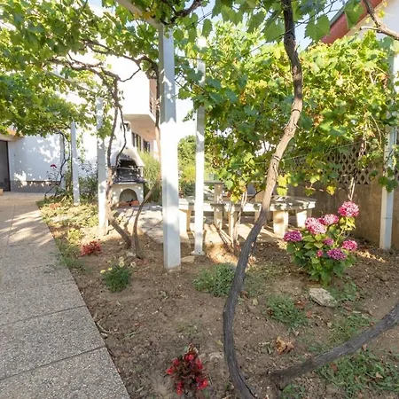 Captain Miro * باشْكا