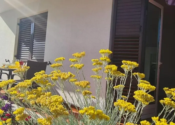 Captain Miro Lägenhet